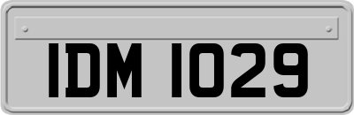 IDM1029