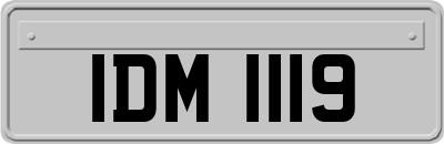 IDM1119