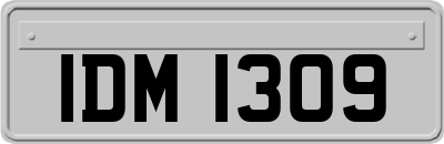 IDM1309