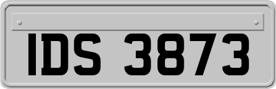 IDS3873