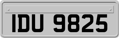 IDU9825