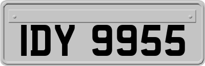 IDY9955