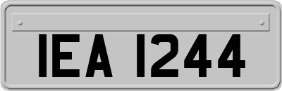 IEA1244