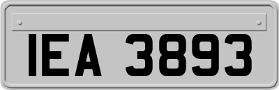 IEA3893