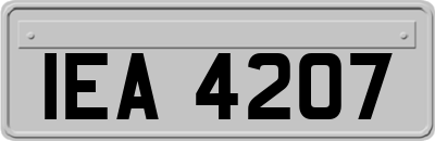 IEA4207