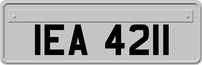 IEA4211