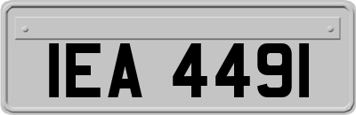 IEA4491