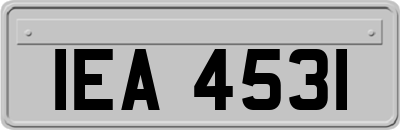 IEA4531