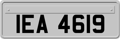 IEA4619