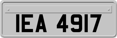 IEA4917
