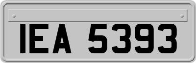 IEA5393