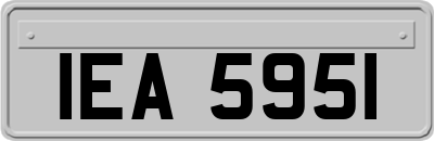 IEA5951