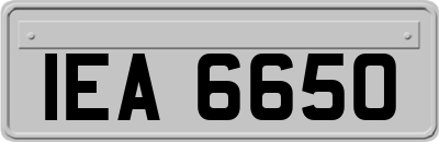 IEA6650