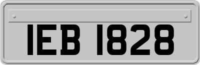 IEB1828