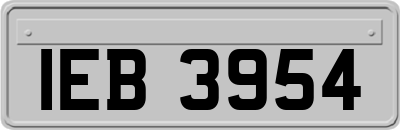 IEB3954