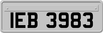 IEB3983