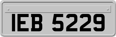 IEB5229