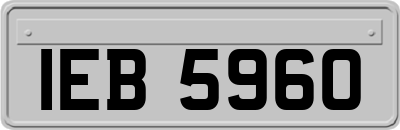 IEB5960