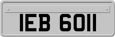 IEB6011