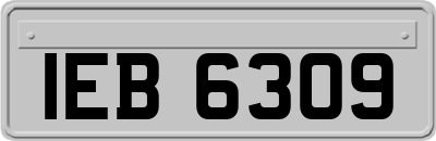 IEB6309