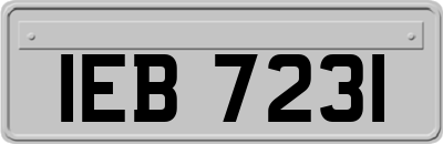 IEB7231
