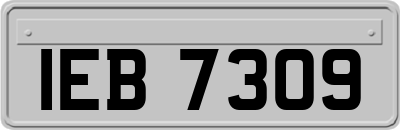 IEB7309