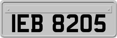 IEB8205
