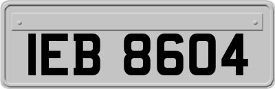 IEB8604