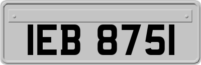 IEB8751
