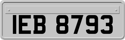 IEB8793