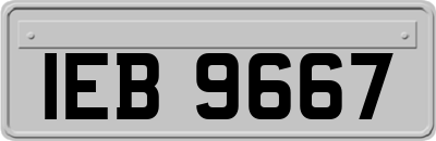 IEB9667