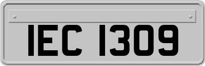 IEC1309