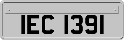 IEC1391