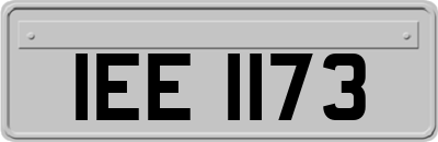 IEE1173