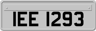 IEE1293