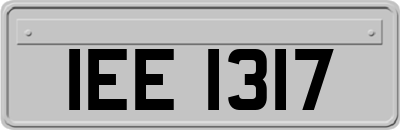 IEE1317