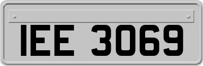 IEE3069