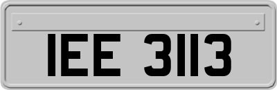 IEE3113