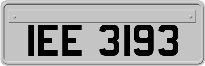 IEE3193