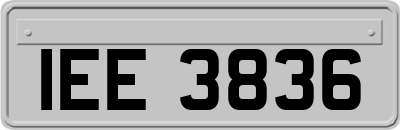IEE3836