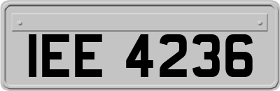 IEE4236