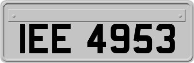 IEE4953