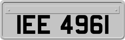 IEE4961
