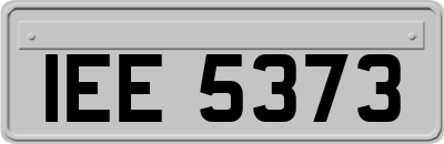 IEE5373