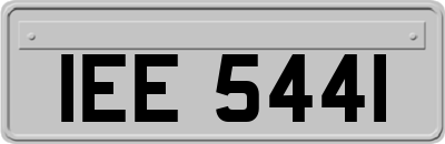 IEE5441