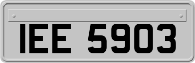 IEE5903