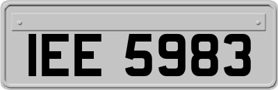 IEE5983