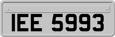 IEE5993