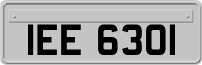 IEE6301