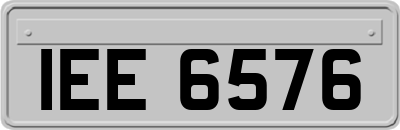 IEE6576